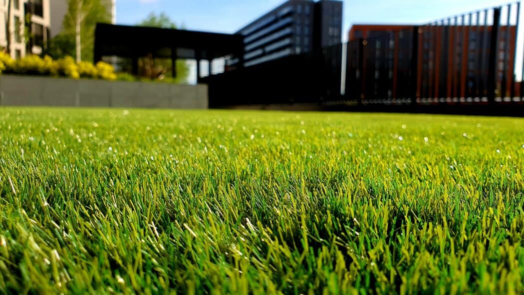 ground view of a green lawn with home in background